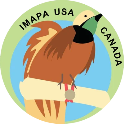 Imapa Logo